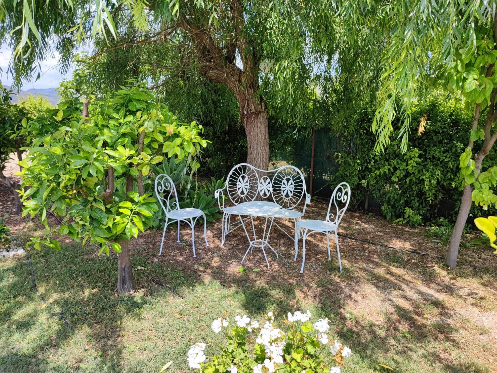 Els Tarongers Perfect For Families Or Friends Villa Sa Pobla Exteriör bild